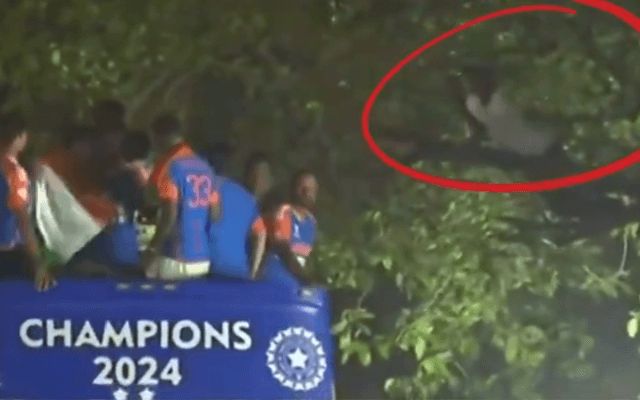 VIDEO: A fan secretly climbed a tree to get a closer look at the world champions, the players reacted like this